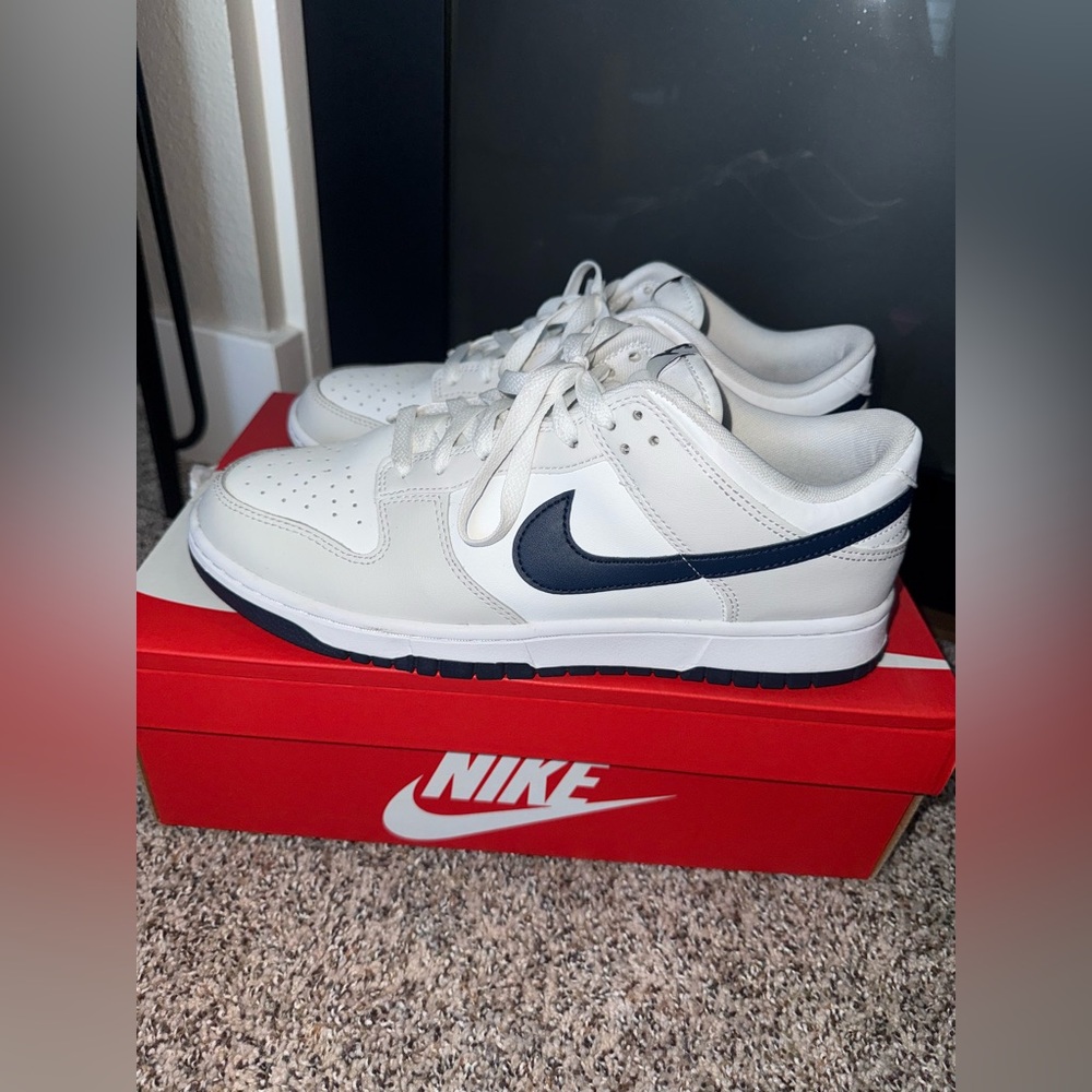Nike Men's Dunk Low Retro Shoes
